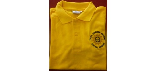  Polo - Ffaldau Primary